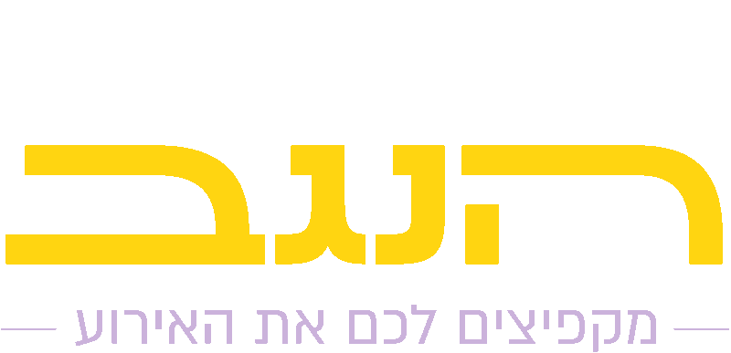 לוגו מתנפחי הנגב